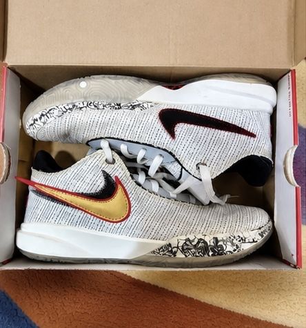 Баскетбольные кроссовки, Nike LeBron XX