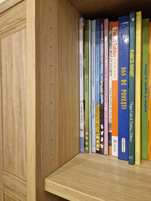 Biblioteca / Raft IKEA 60x40x192