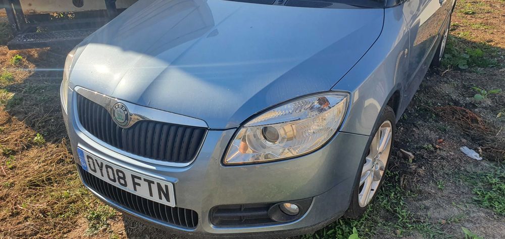 Usi  usa skoda fabia 2 COD CULOARE 9154