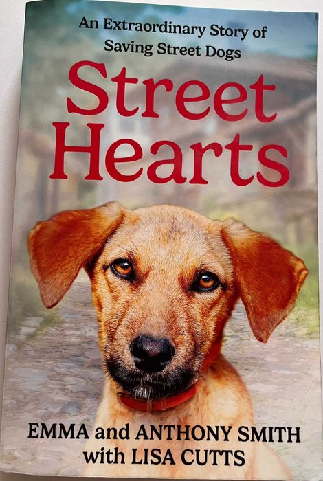 Романът на Зелда Фицджералд, Къпиново вино