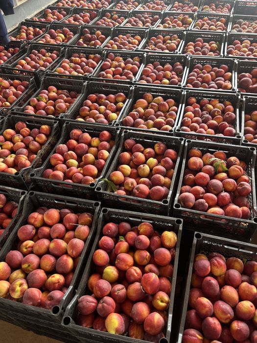 Тайёр бизнес сотилади