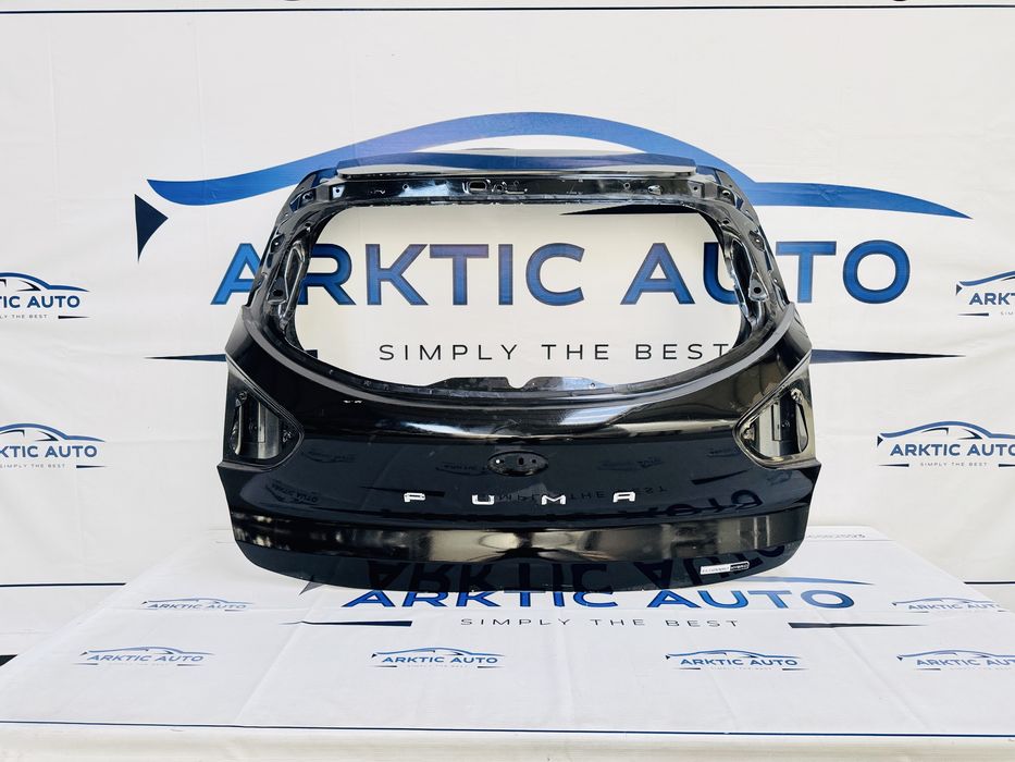 Haion Ford Puma 2019+