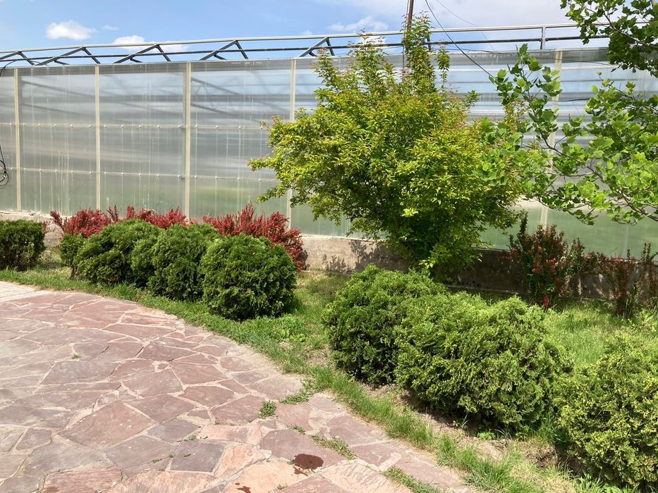 Гостевой дом посуточно