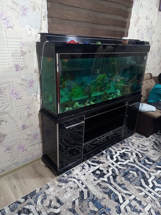 Аквариум комплект сотилади, продаётся