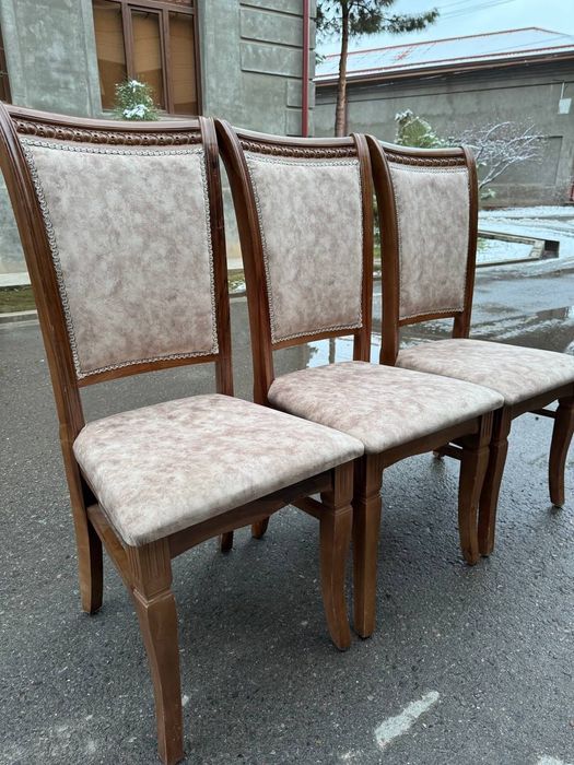 Prokat stol stul 24/7  zontik Naves shirma samavar Аренда стол стул