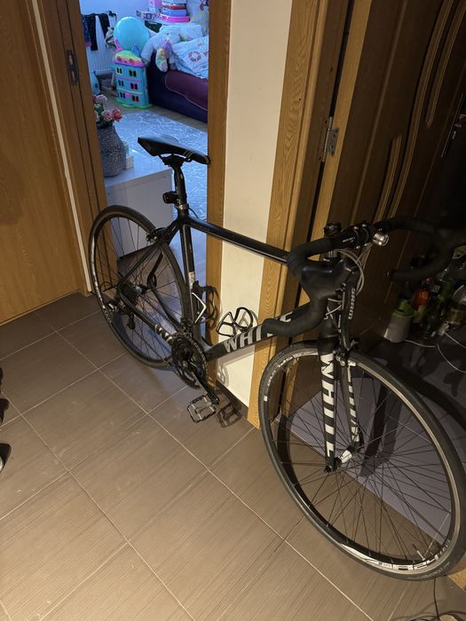 Cursiera carbon marimea L 54 cm