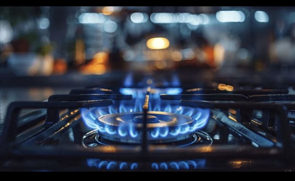 Ремонт газовых и электро плит