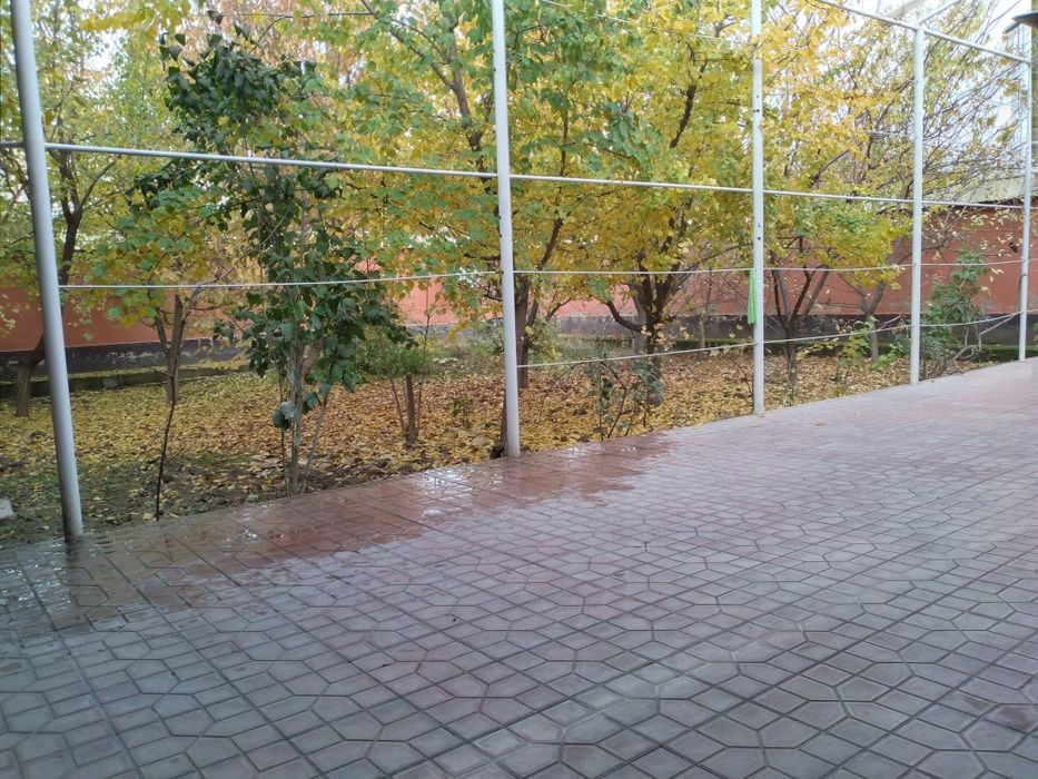 16 ни йулидан ховли