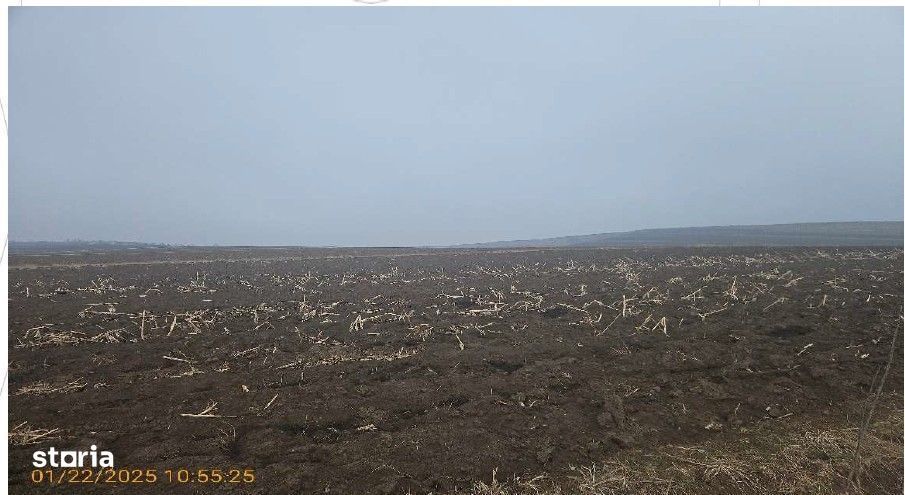 Teren extravilan cota parte 1/4, Calarasi, Botosani, ID: R2924968