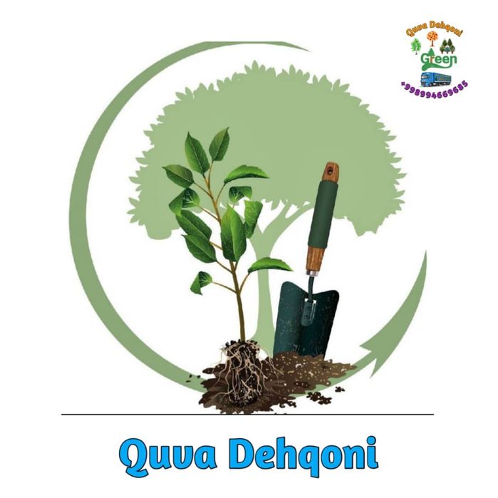 Европа в Махаллий туради манзарали дарахтлар