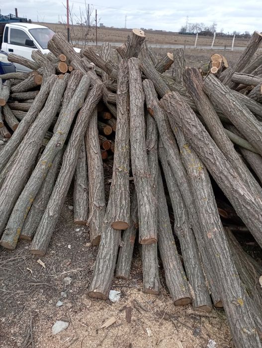 Stâlpi de gard cu h 2,20 și diametrul  10-14