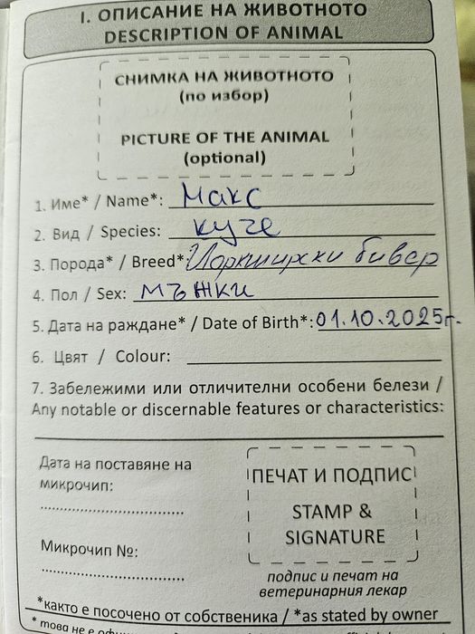 Продавам Бивер Йорк
