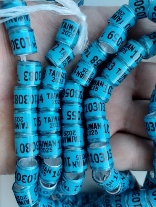 Кольца для голубей 2025