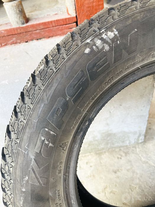 205/65R15 Kapsen zimniy