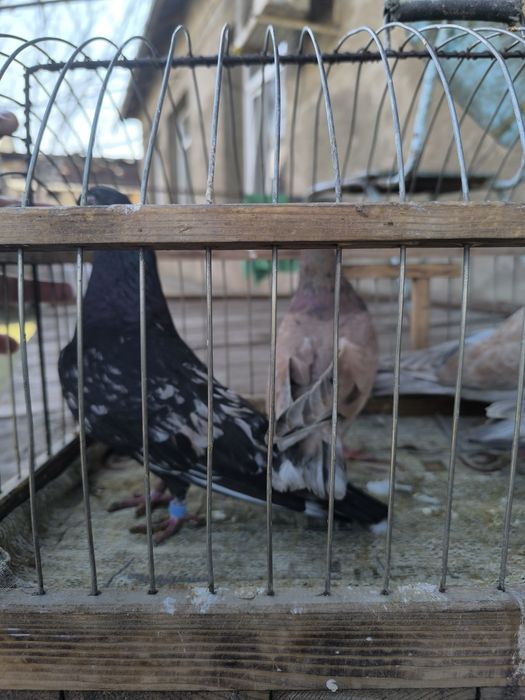 Продаются мрамарные