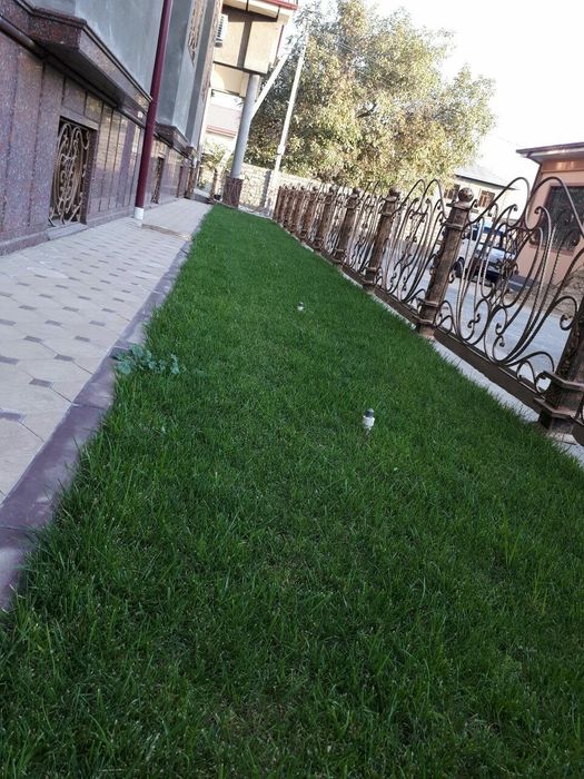 Газон сажайим 1000