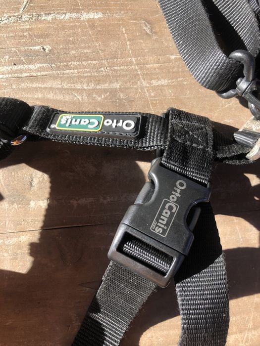 Ham pt. catei cu displazie de sold sau artrita