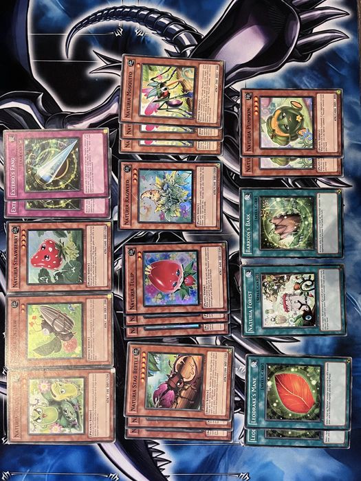 Yu-gi-oh карти.