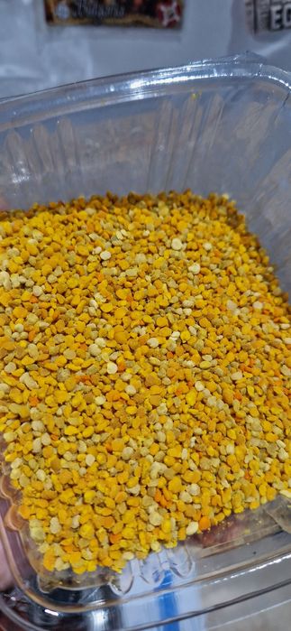 Polen crud din primavara 2025 pomi fructiferi