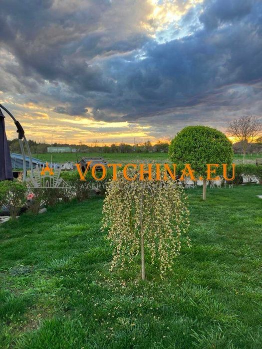 Прекрасен имот с голям двор – уникално предложение!