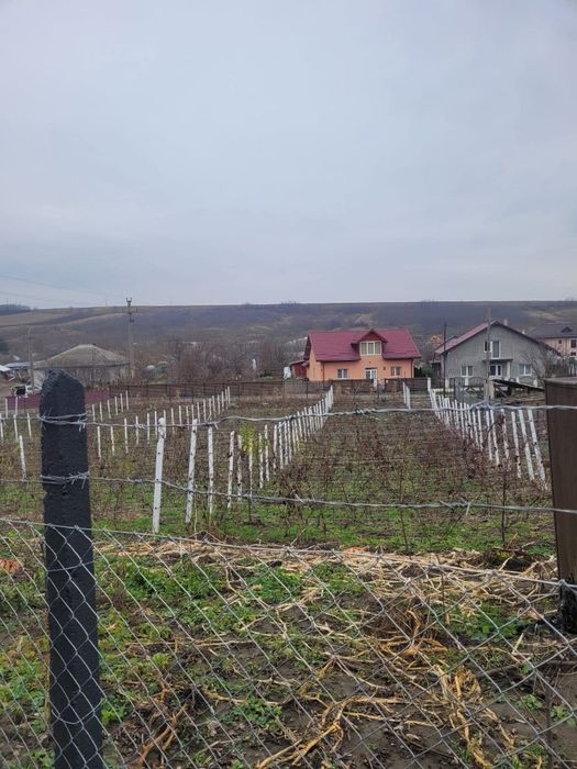 Vând loc de casă în localitatea Trușești la 30de kilometri de Botoșani
