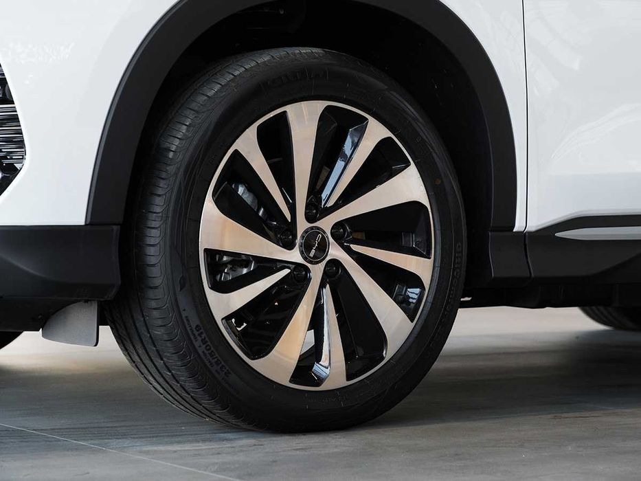 BYD SONG PLUS Champion DM-I 150 km Flagship