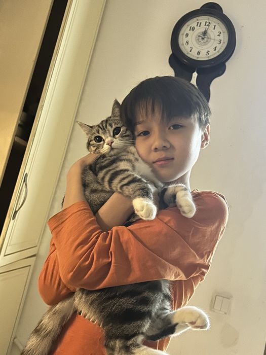 Кошка отдам в хорошие руки