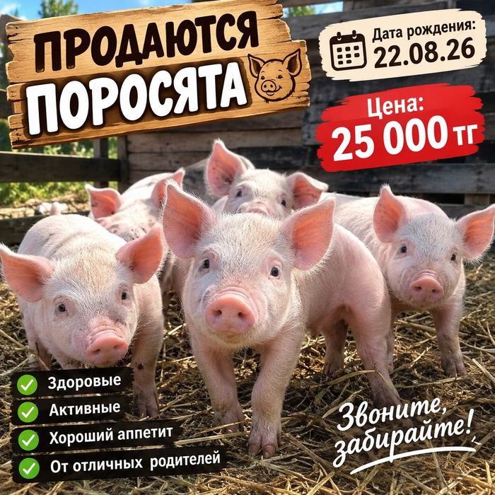 Продются поросята