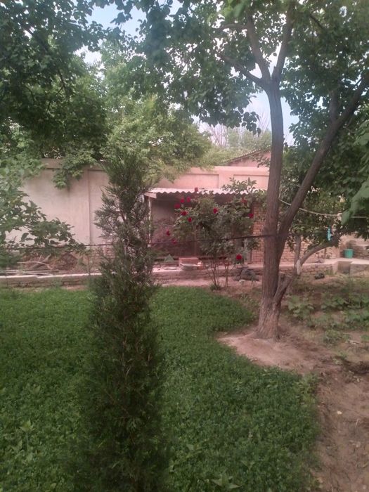 Xorazm xiva shahrida qosmada