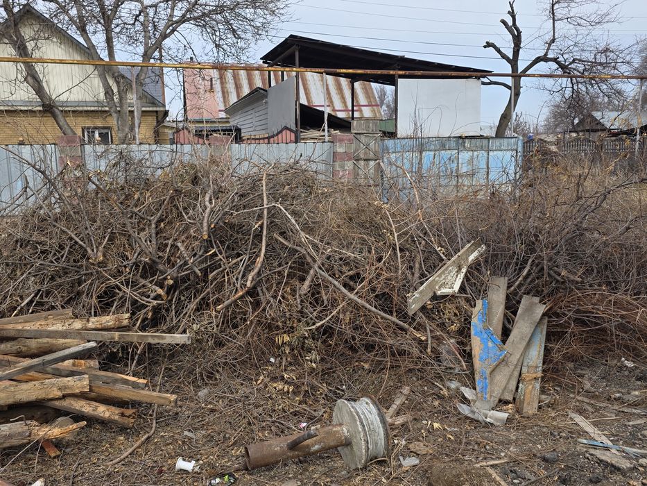 Бревна,ветки ,самовывоз