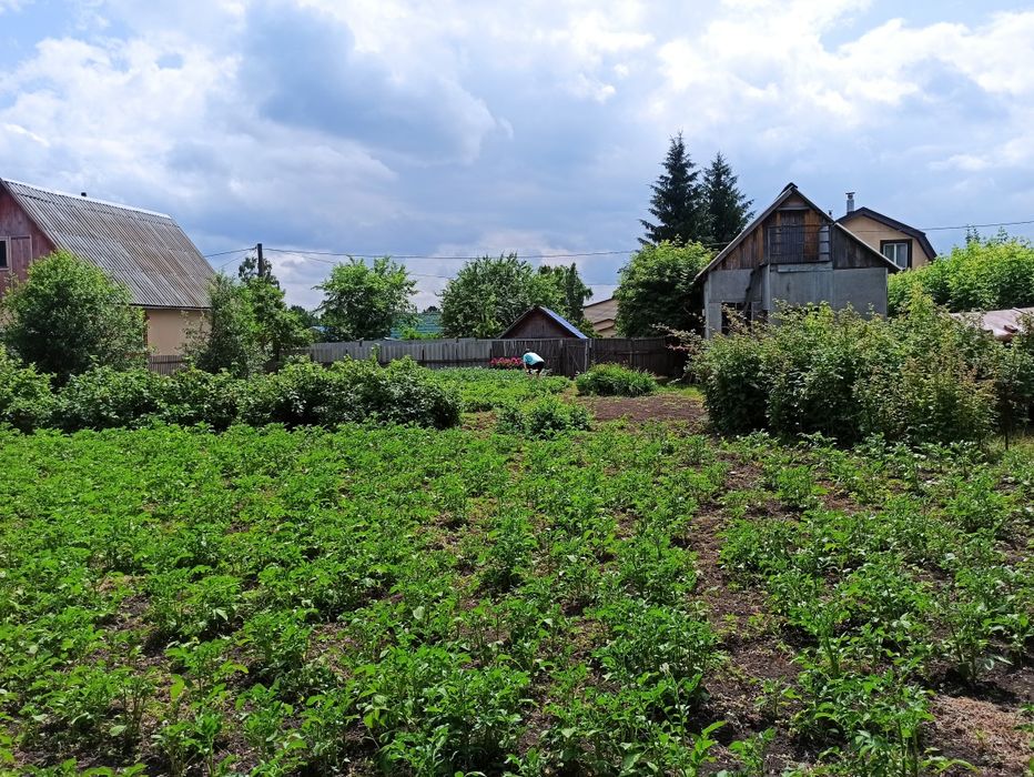 Продам дачу СО Восток оз.Пёстрое 8.5 соток