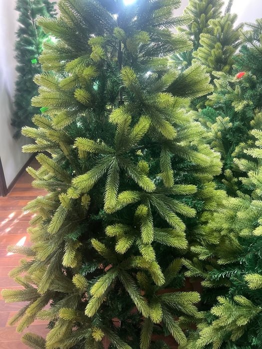 Archa optom sklatdan