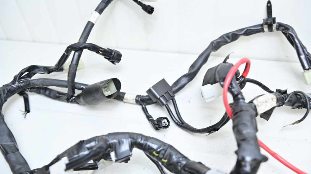 Yamaha FZ1 2006 - 2015 Instalatie Electrica Motor