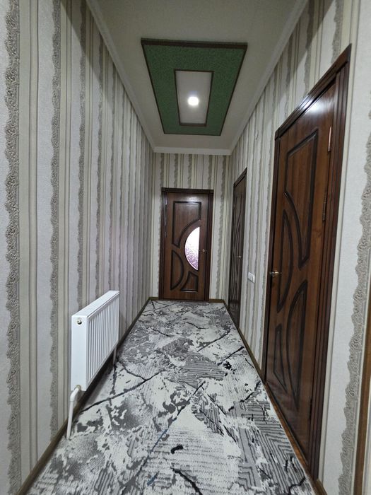 Zarafshon domi shir oldida