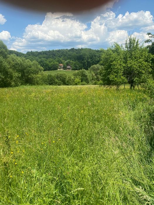 Vând casa și teren Târnava de Cris, jud Hunedoara