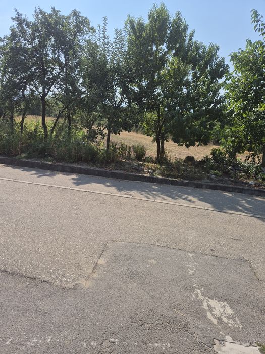 Vând teren intravilan în satul tustea jud HUNEDOARA