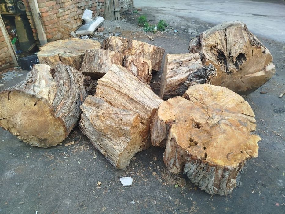 Утинлар сотилади