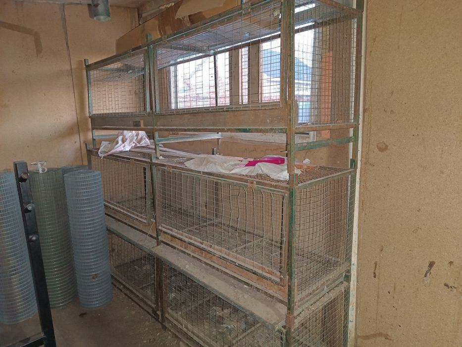 Все для вывода Цыплят