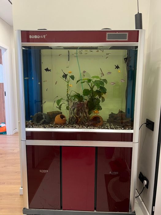 Аквариум  заводской