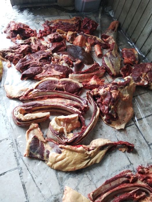 Продается конина‼️‼️