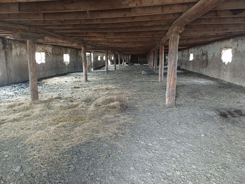 Продам крестьянское хозяйство.