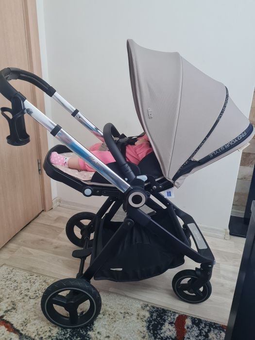 Chipolino Elitte 2024г