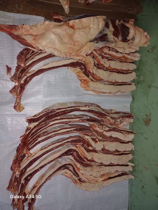 Продам соғым, байтал