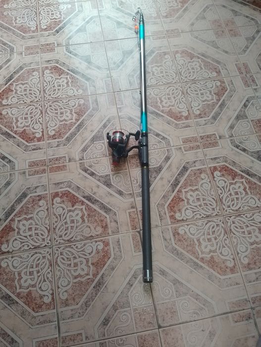 Продавам Болонезе 6.00м