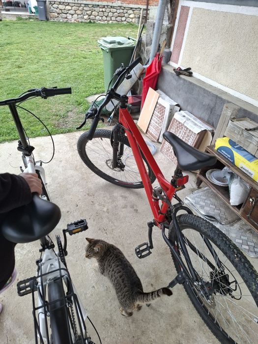 Bicicleta frâne pe disc