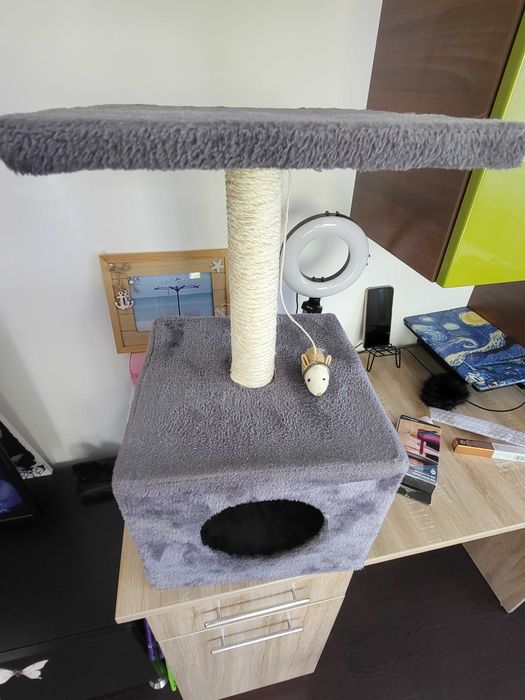 Vand casuta pentru pisica