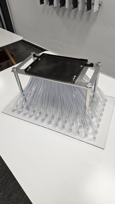 Semanatoare universala legume (varză/conopida/ridiche)pentru alveole