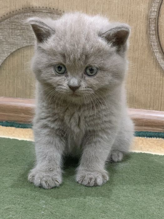 Kechgi20:00 dan ertalabki 9:00 bezovta qilmanglar