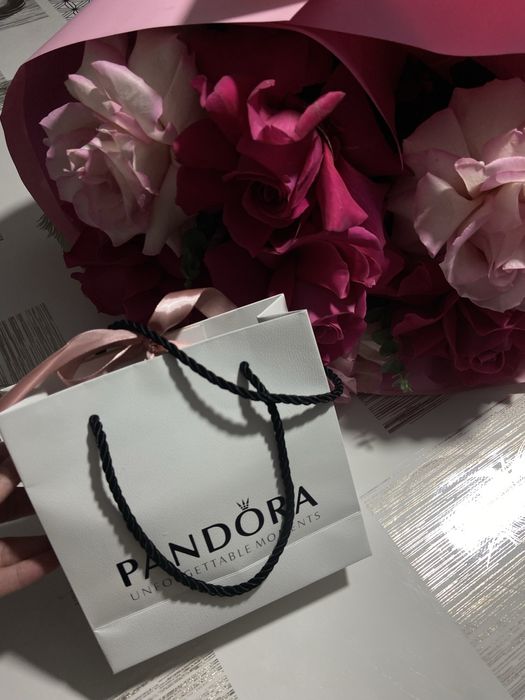 Комплект сережки с кулоном pandora