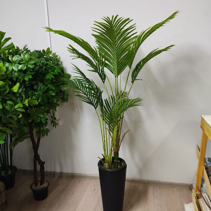 Искусственные пальмы
